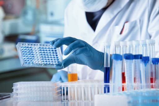 Gloved hands arranging sample tubes in a laboratory rack